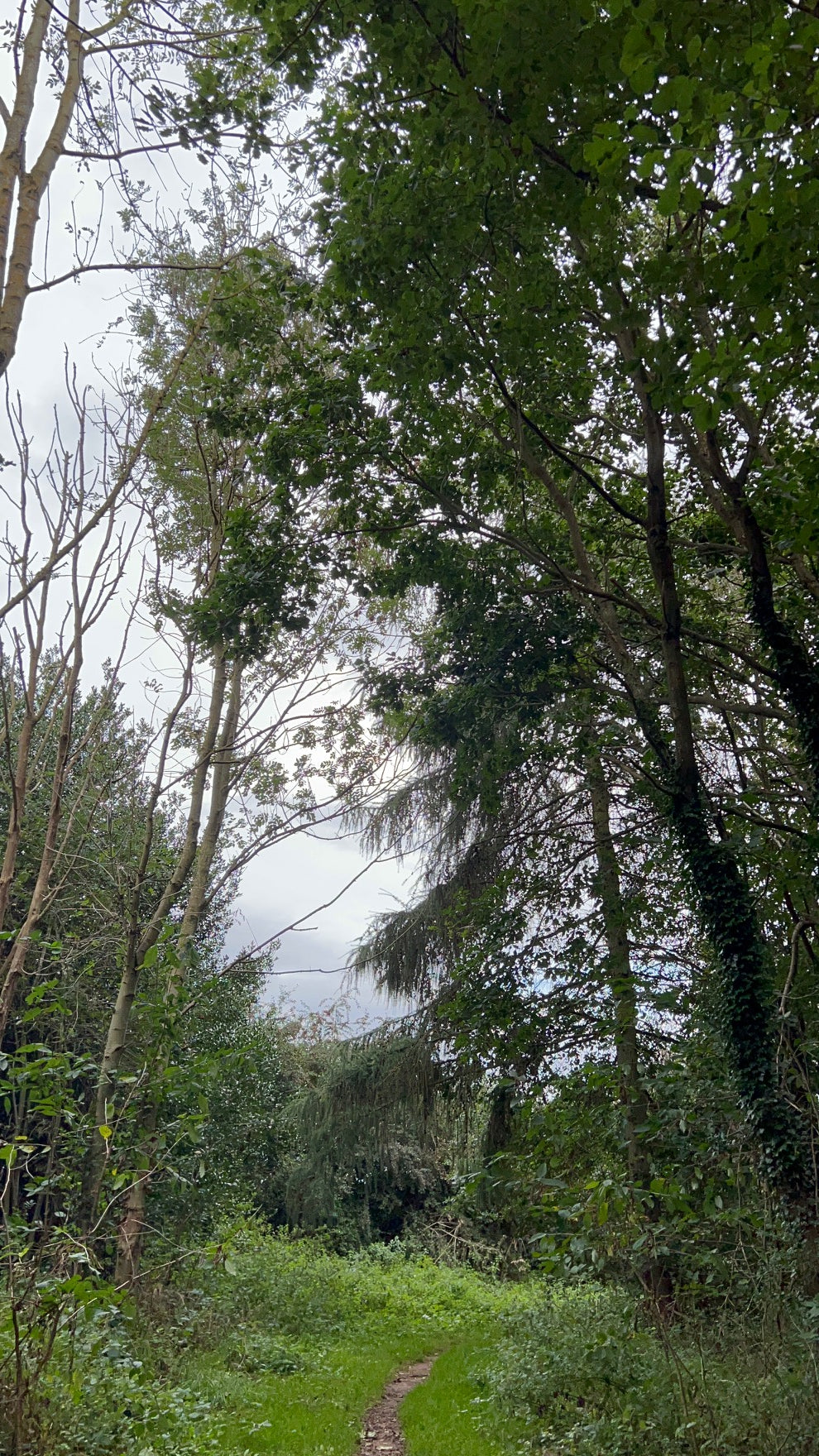 How can I connect to nature even in bad weather?