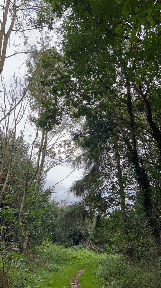 How can I connect to nature even in bad weather?